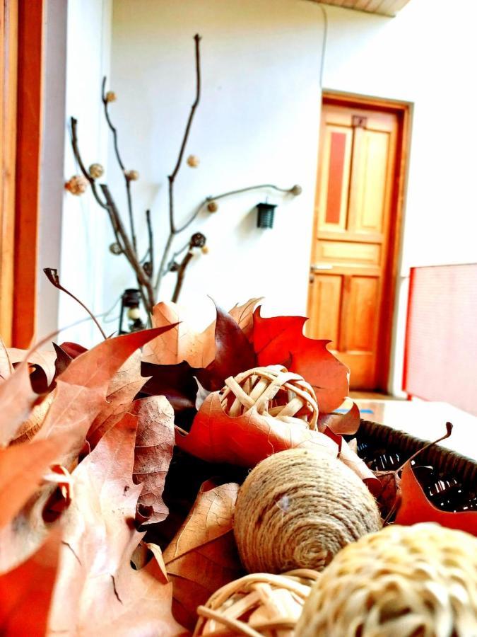 Hotel Nativo サンティアゴ エクステリア 写真
